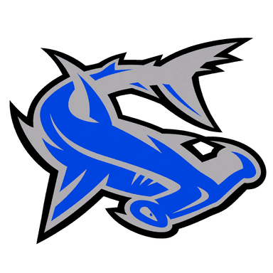 Houston Hammerheads logo