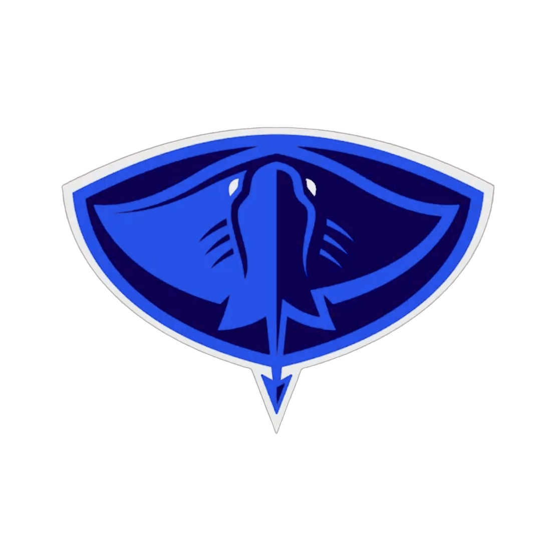 Rhode Island Rays logo