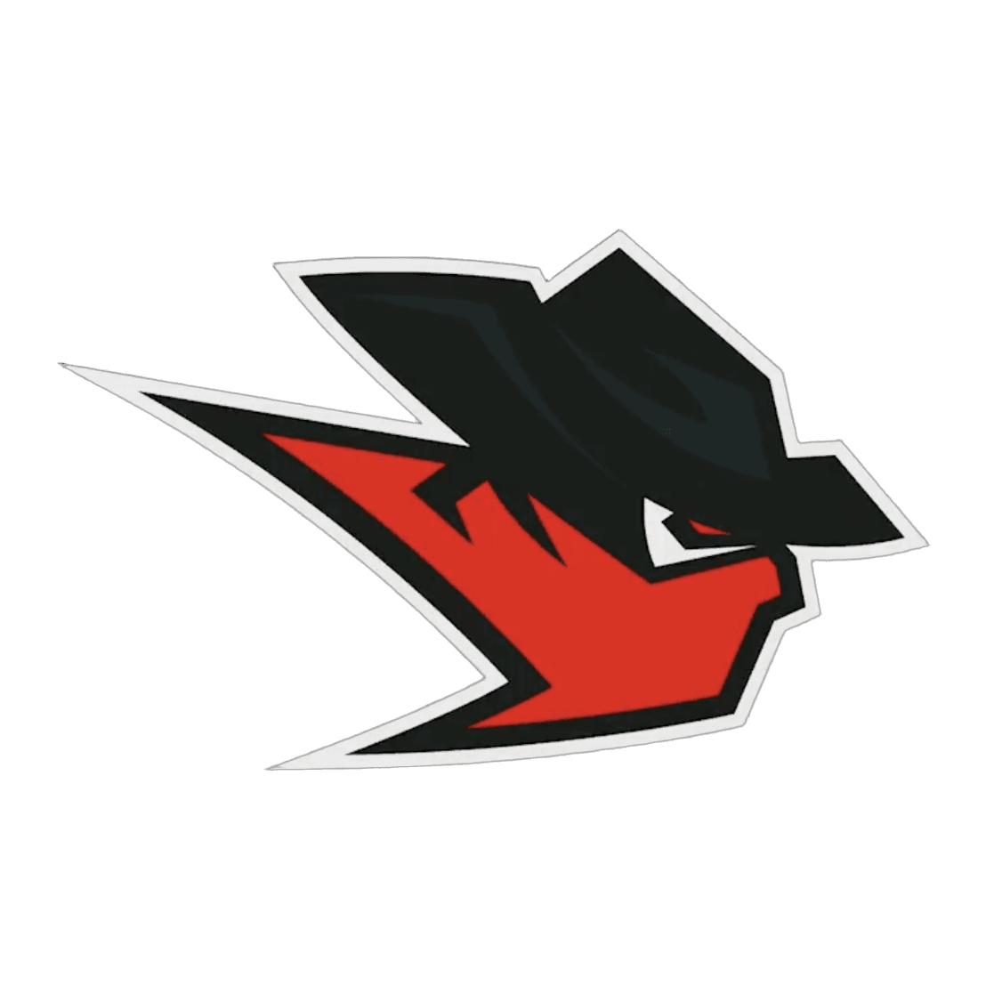 Tucson Nomads logo